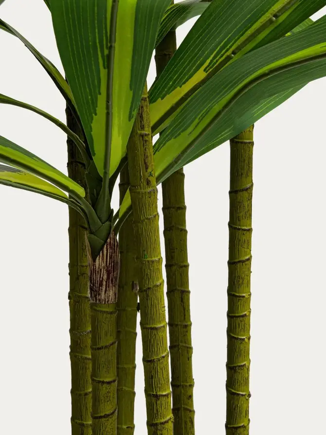Roślina sztuczna GREENORA dracena 160 cm