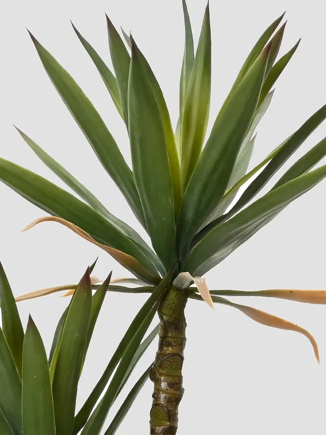 Roślina sztuczna BOTANIZE juka 125 CM