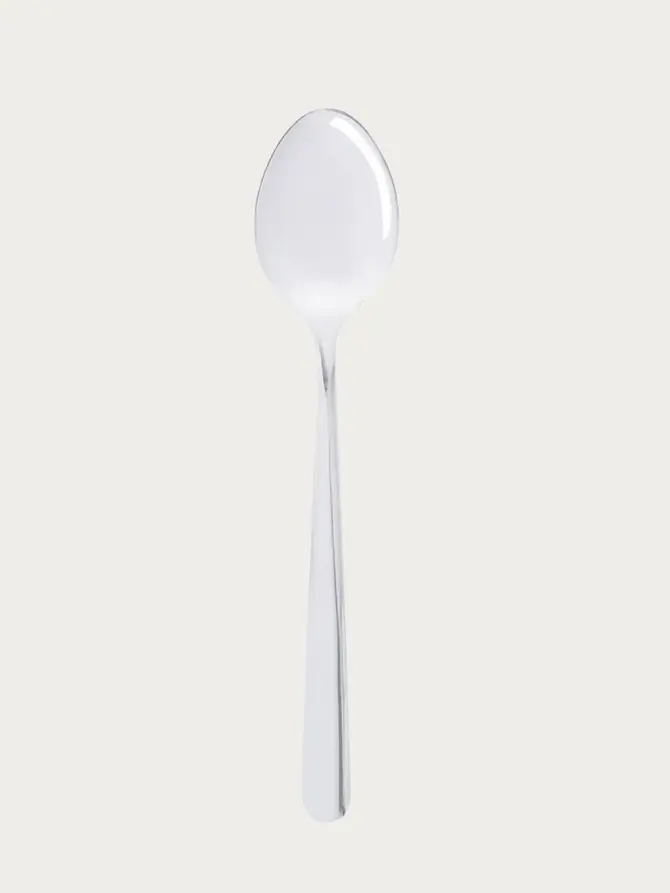 Zestaw łyżek VIENNA srebrnych, 10 szt. 20,5cm