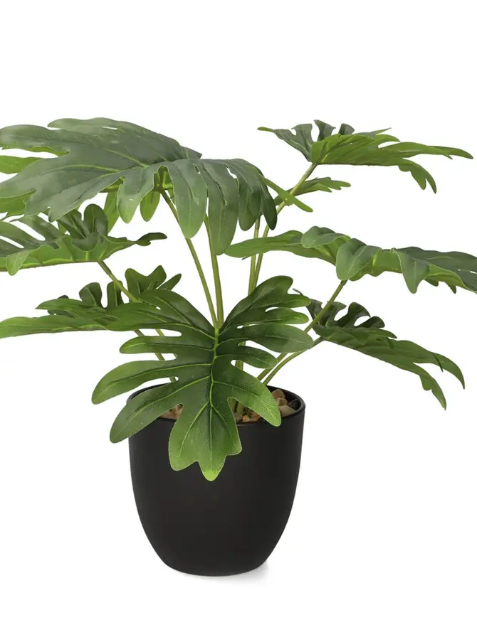Roślina PALMS sztuczna 13x41 cm