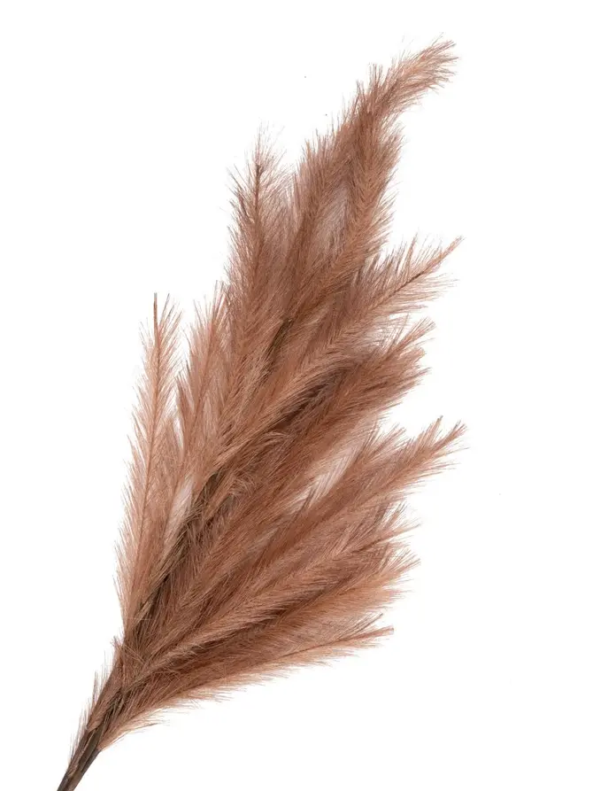 Gałązka CANNE sztuczna kremowa 100 cm