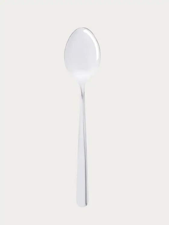 Zestaw łyżek VIENNA srebrnych, 10 szt. 20,5cm