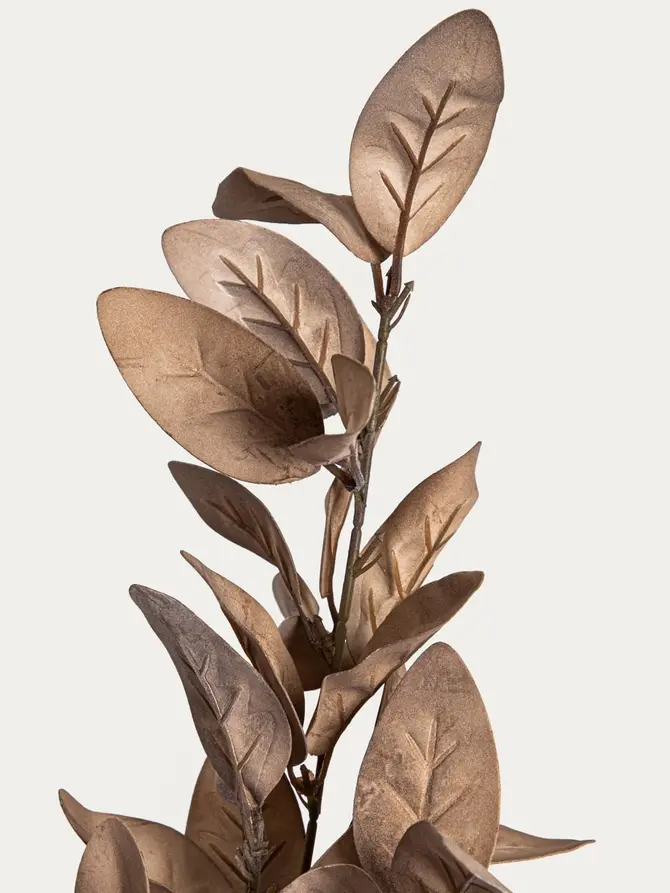 Gałązka sztuczna KAIRO liście magnolii brązowe 82 cm