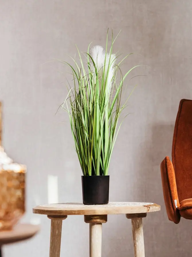 Trawa GRASS sztuczna ecru 57 cm