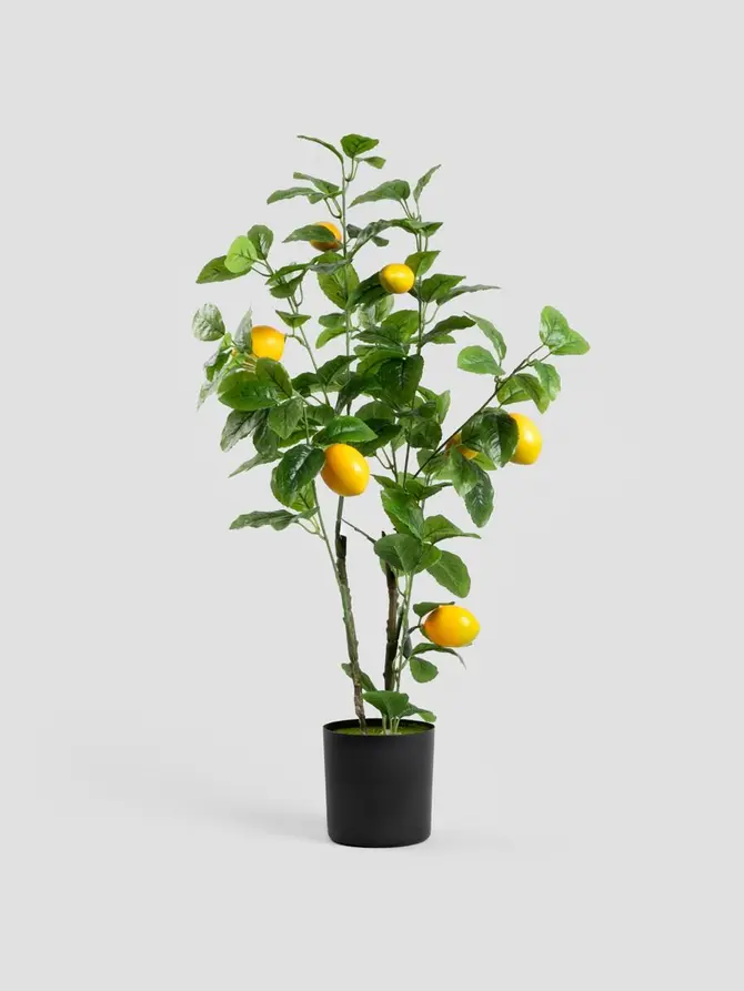 Roślina sztuczna CITRUS z cytrynami 75 cm