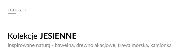 Kolekcje jesienne